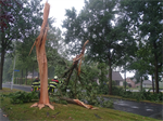 Prio 2 Stormschade Mr Andreaestraat Kollum